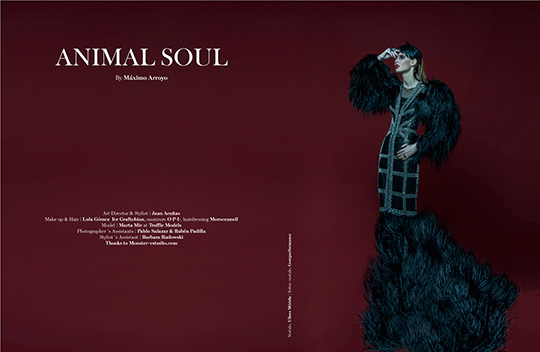 Animal Soul